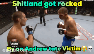 Boxing Match Shitland Rocked By Andrew Tate Victim GIF