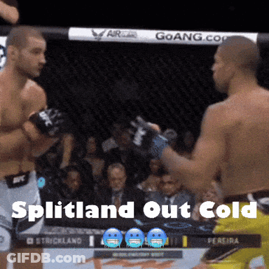 Boxing Match Splitland Out Cold GIF