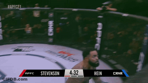 Boxing Match Stevenson Vs Hein 4:32 Left In Round GIF