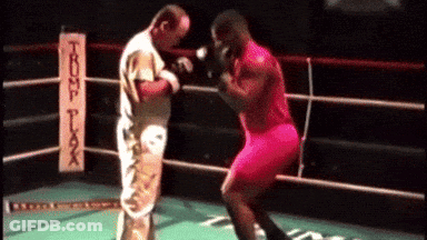 Boxing Match Trump Tax Sign GIF