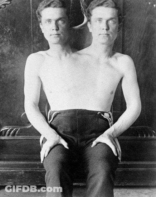 Boy 1 Body 2 Heads Freak GIF
