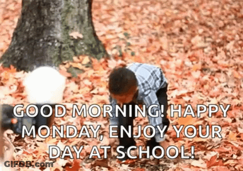 Boy And Baby Playing In Leaves GIF