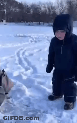 Boy And Dog Playing In Snow GIF