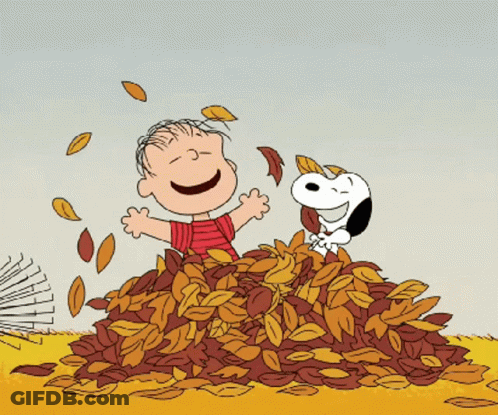 Boy And Dog Playing With Leaves GIF