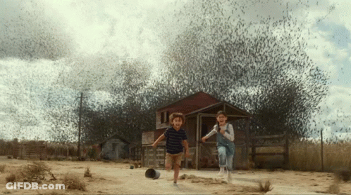 Boy And Girl Running In Front Of Bird Covered House GIF