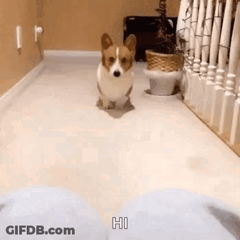 Boy And Girl Sitting Kissing GIF
