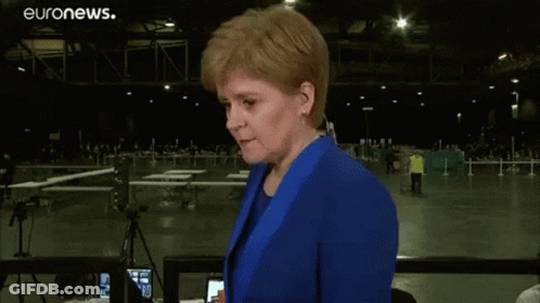 Boy And Girl With Scottish Flag Wearing Zhot Shirts GIF