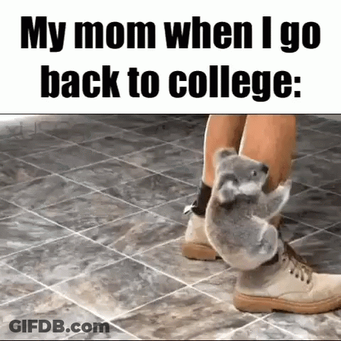Boy Carrying Books And Backpack Saying College GIF