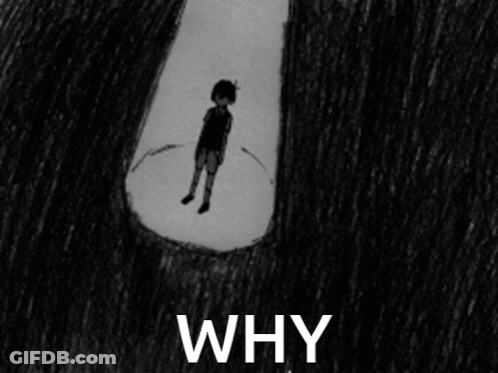 Boy Covering Face Saying Why GIF
