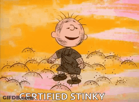 Boy Dancing In Field Saying Certified Stinky GIF