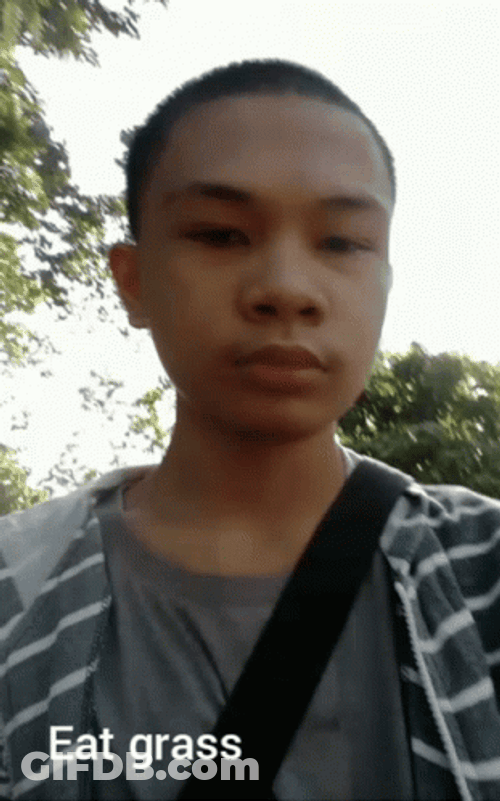 Boy Eating Grass GIF