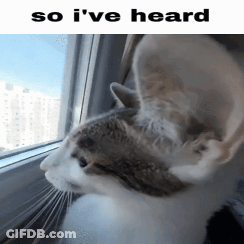 Boy Face With Writesu GIF