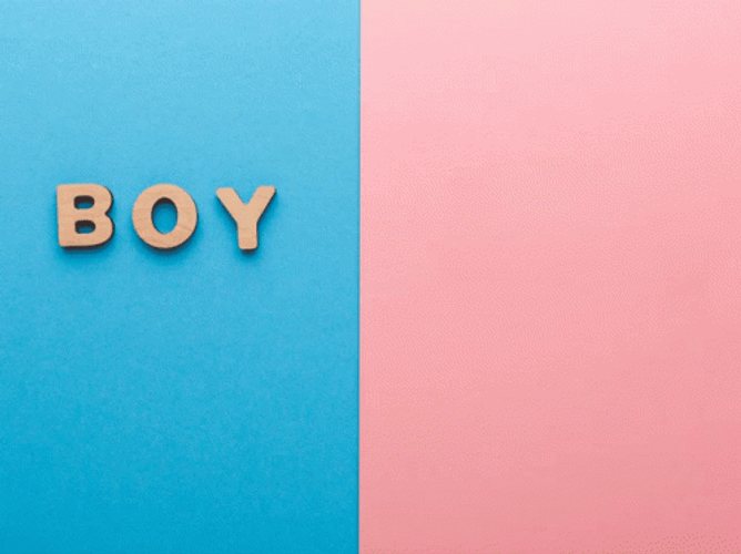 Boy Girl Blue Pink Stop Motion GIF