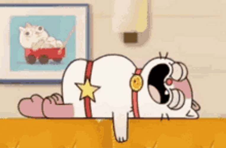 Boy Girl Dog Cat Snoring GIF