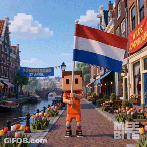 Boy Holding Flag In Front Of Koningsdag 27 April Sign GIF