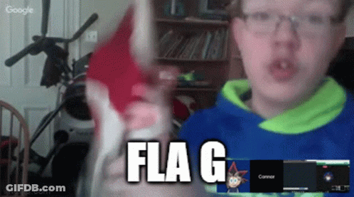 Boy Holding Flag In Front Of Screen Saying Flag GIF