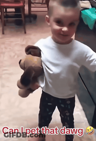 Boy Holding Stuffed Animal Saying Can I Pet That Dawg GIF