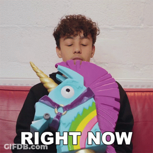 Boy Holding Toy Unicorn Right Now GIF