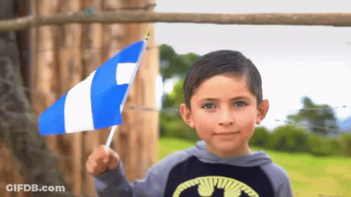 Boy In Batman Sweatshirt Holding Blue And White Flag GIF