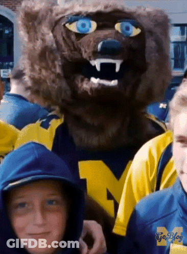 Boy In Blue Hoodie With Letter M Next To Mascot GIF