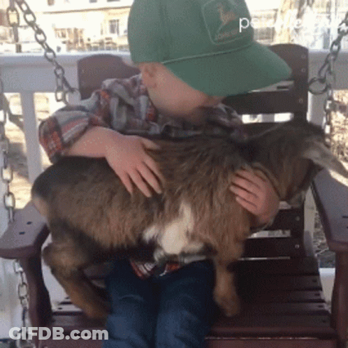 Boy In Green John Deere Hat Holding Goat GIF