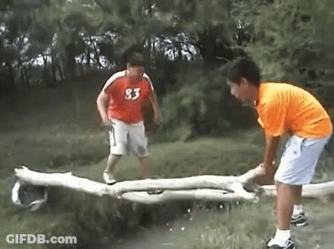 Boy In Orange Shirt 83 Standing Next To Boy On Log GIF