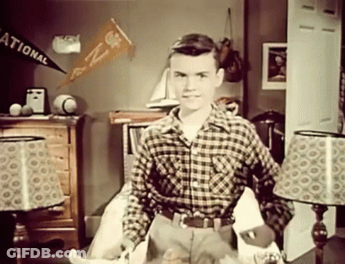 Boy In Plaid Shirt With National Pennant GIF