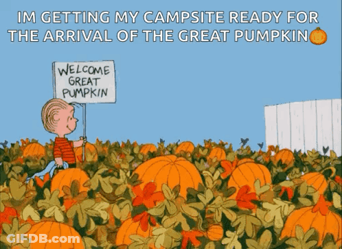 Boy In Pumpkin Field Holding Welcome Great Pumpkin Sign GIF