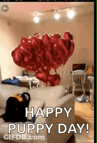 Boy In Red Shirt Sitting On Concrete Block GIF