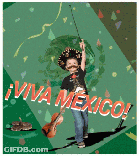 Boy In Sombrero Mustache Holding Violin Viva Mexico GIF