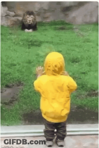 Boy In Yellow Raincoat Watching Monkey GIF