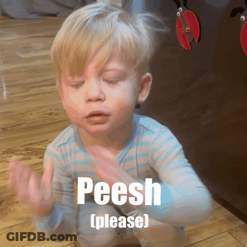 Boy Kneeling With Please GIF