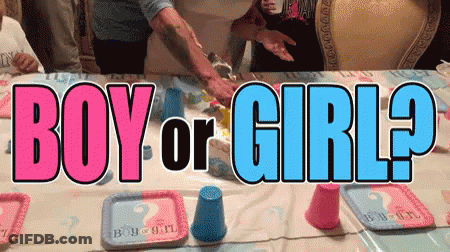 Boy Or Girl Written On A Table With Plates GIF