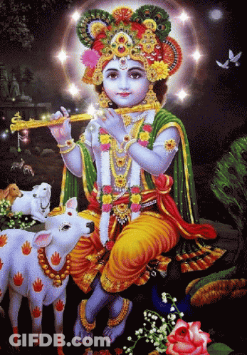 Boy Playing Flute With Cow GIF