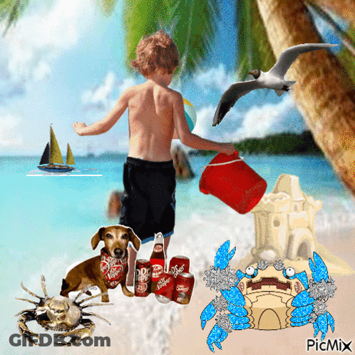 Boy Playing On Beach With Dog, Crab, And Diet Coke GIF