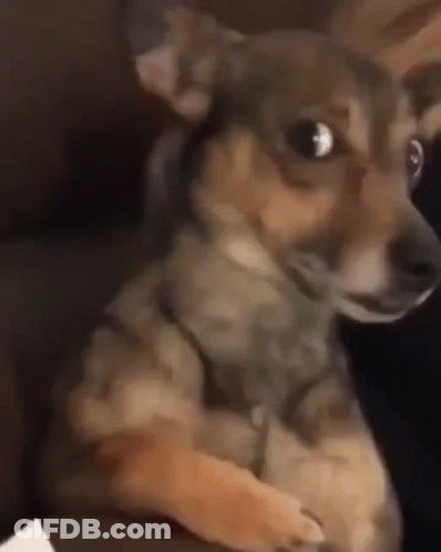 Boy Saying Don't Dm Me Don't React Me We're Done GIF