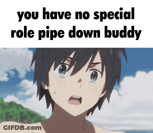 Boy Saying You Have No Special Role Pipe Down Buddy GIF