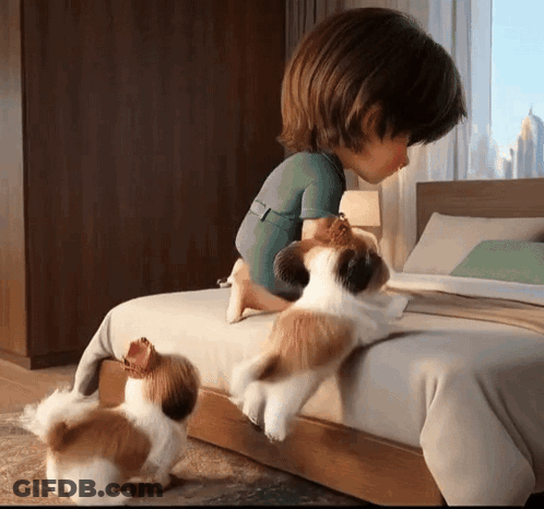 Boy Sitting On Bed With Two Puppies GIF