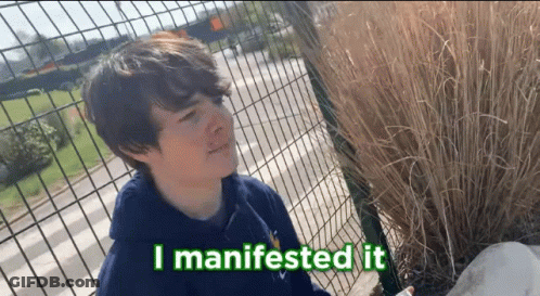Boy Standing In Front Of Fence Saying I Manifested It GIF