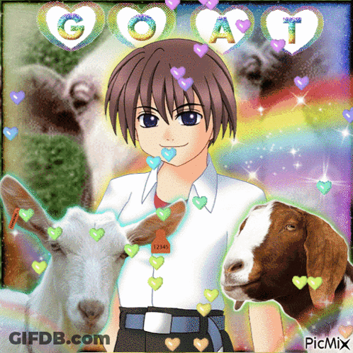 Boy Surrounded By Goats With Hearts GIF
