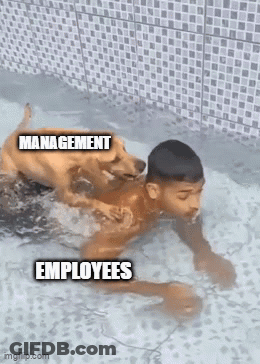 Boy Swimming In Pool With Dog And Management Employees GIF