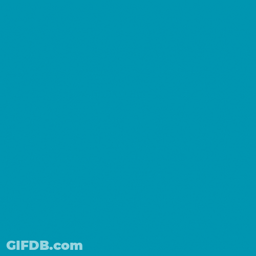 Boy Taking Bar Exam Seriously GIF