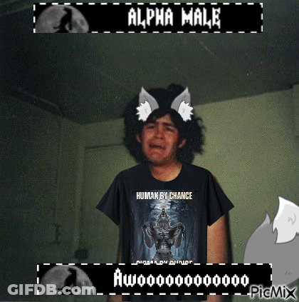Boy Wearing Alpha Male Shirt GIF