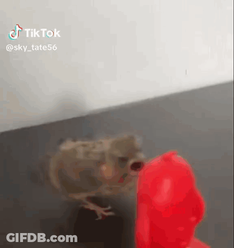 Boy With Oxygen Mask And Copium Cylinder GIF