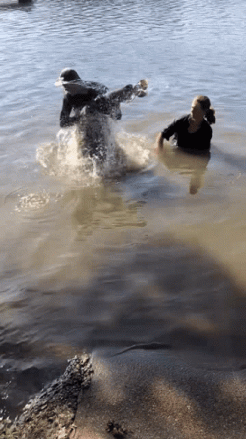 Boys Catching Catfish GIF