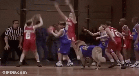 Boys Playing Basketball With Dog In Blue Jersey Number 2 GIF