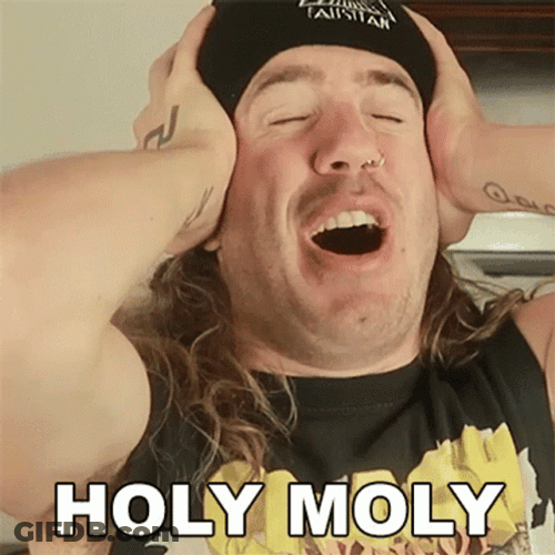 Bradley Holy Moly GIF