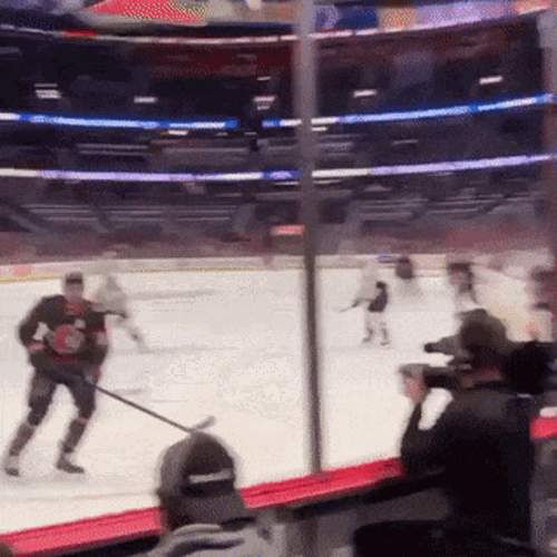 Brady Tkachuk Tkachuck GIF