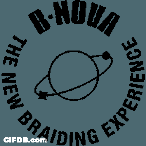 Braid Sticker GIF