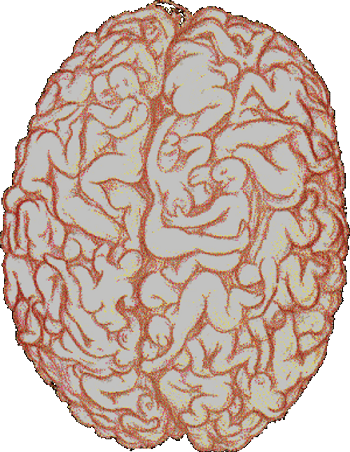 Brain Filled With Obscene Scenes GIF